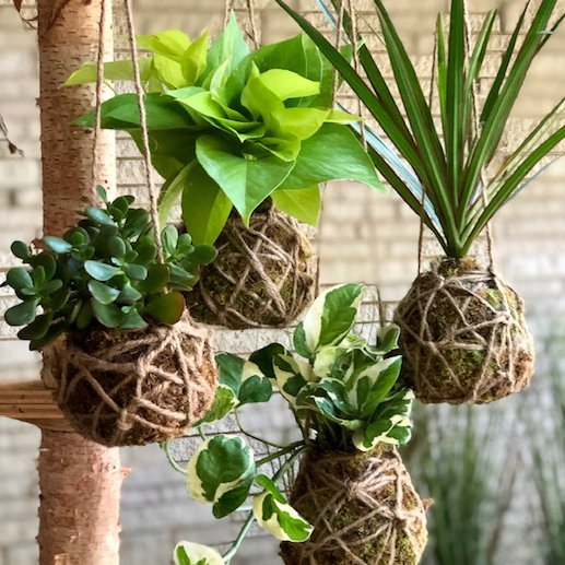 UrbanArtist's tweet photo. Welcome aboard Koke Gardens to our live show June 12-13 in Addison, Texas. Let us know if you’re an artist and interested in participating! Register online by clicking the Vendor Registration tab in the upper right corner. @urbanartistmarket @kokegardens #buyhandmade https://t.co/anHPlKgF1d