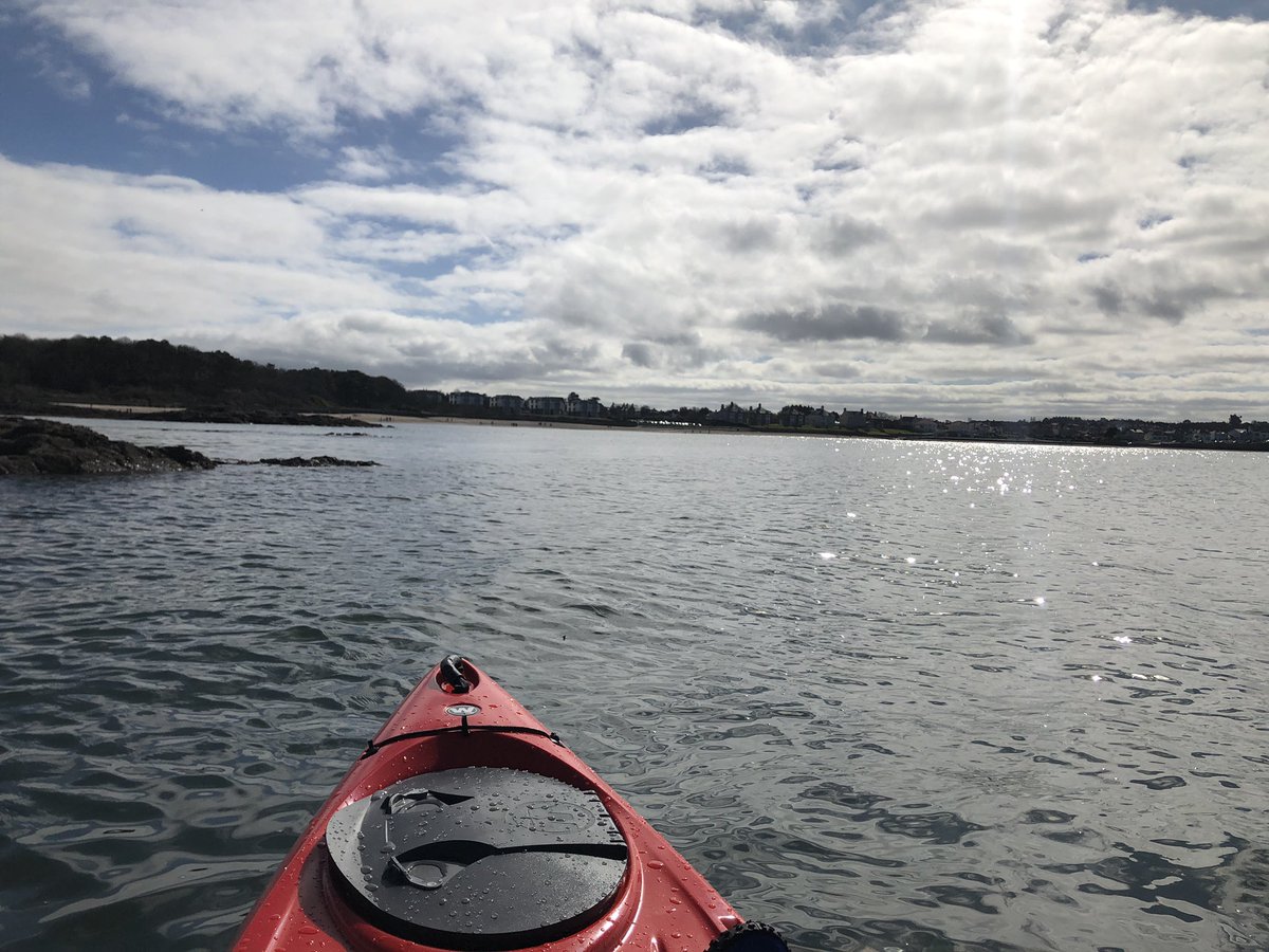 Prof Mark A Gillan tweet media