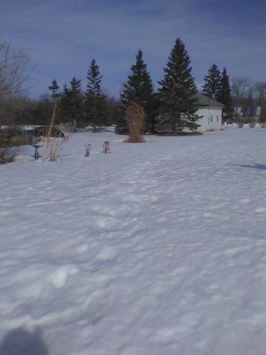 SPIN Farming Tip of the Day. First day of spring is a symbolic for SPIN Farmers. It means you get real in terms of thinking about your plantings. The key is to get real, not go overboard. That's where experience comes in. #spinfarming #localfood #gardening