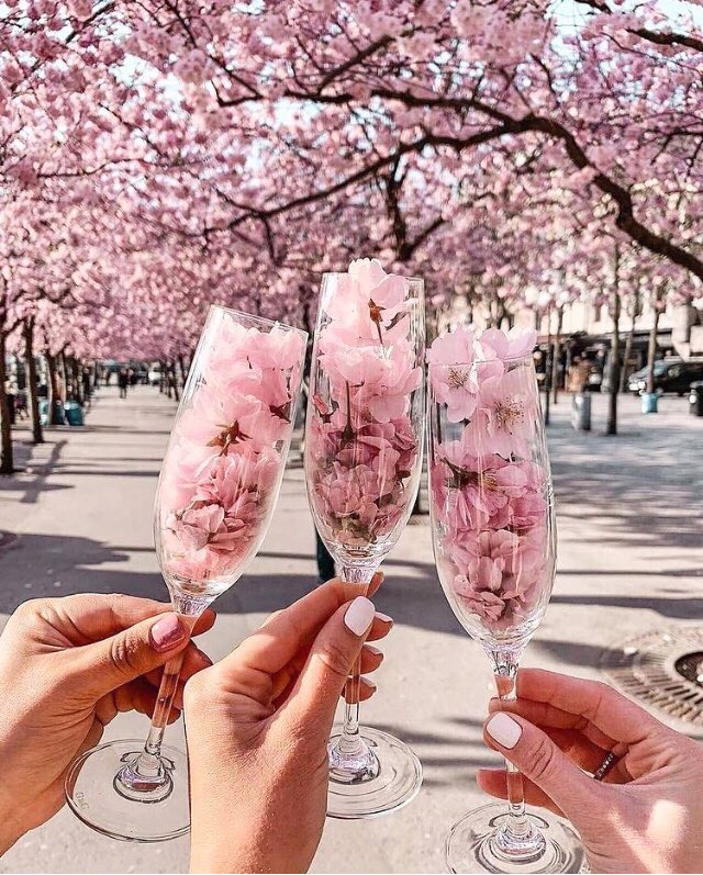 licausilvana's tweet photo. 🌸🍀🌸E’ una #gioia vedere tanti rami, verdissimi nel #vento e tanti #fiori, prepotenti, sboccianti,
e’ una gran gioia perché nel sangue pure e’ #primavera.
🌸🍀🌸
C. Pavese
#springtime #prosit #wellcomespring #ogginuvolo ☁️ #springwanted 🤷🏻♀️ https://t.co/Nr1GOYY44g