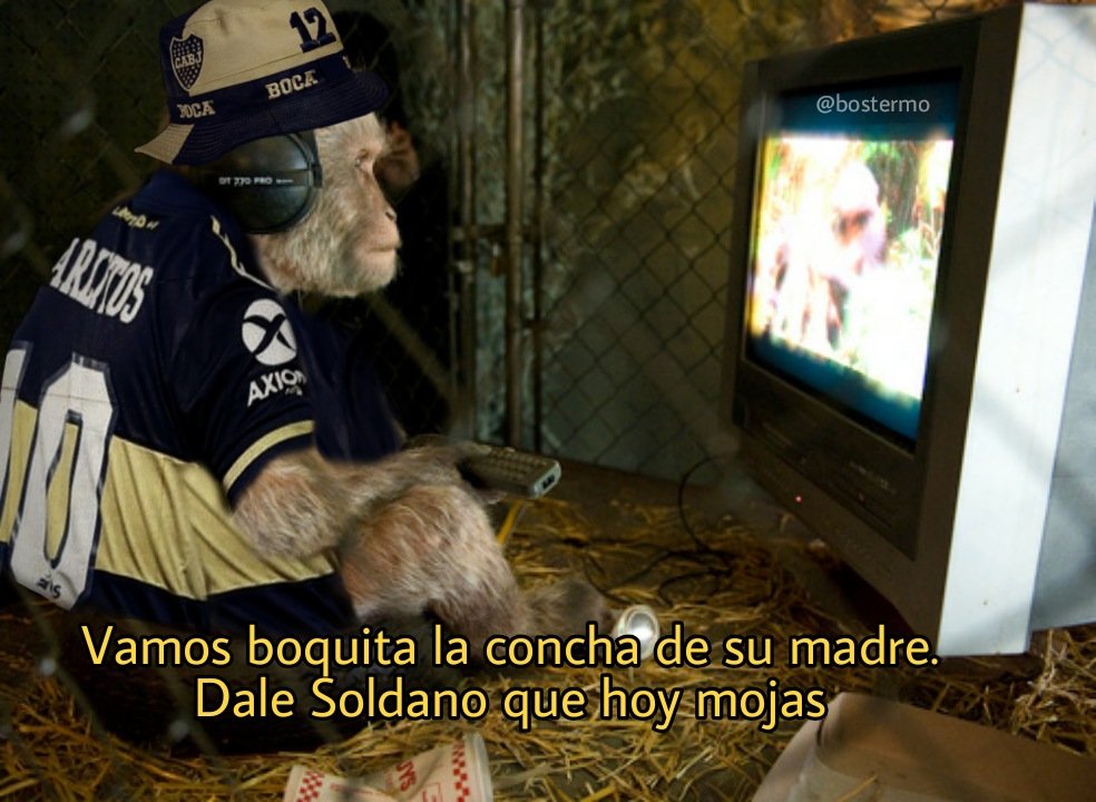 _JugadorNro12's tweet photo. Morena Beltran viendo un partido /// Yo viendo un partido https://t.co/G0wcrhcHa0
