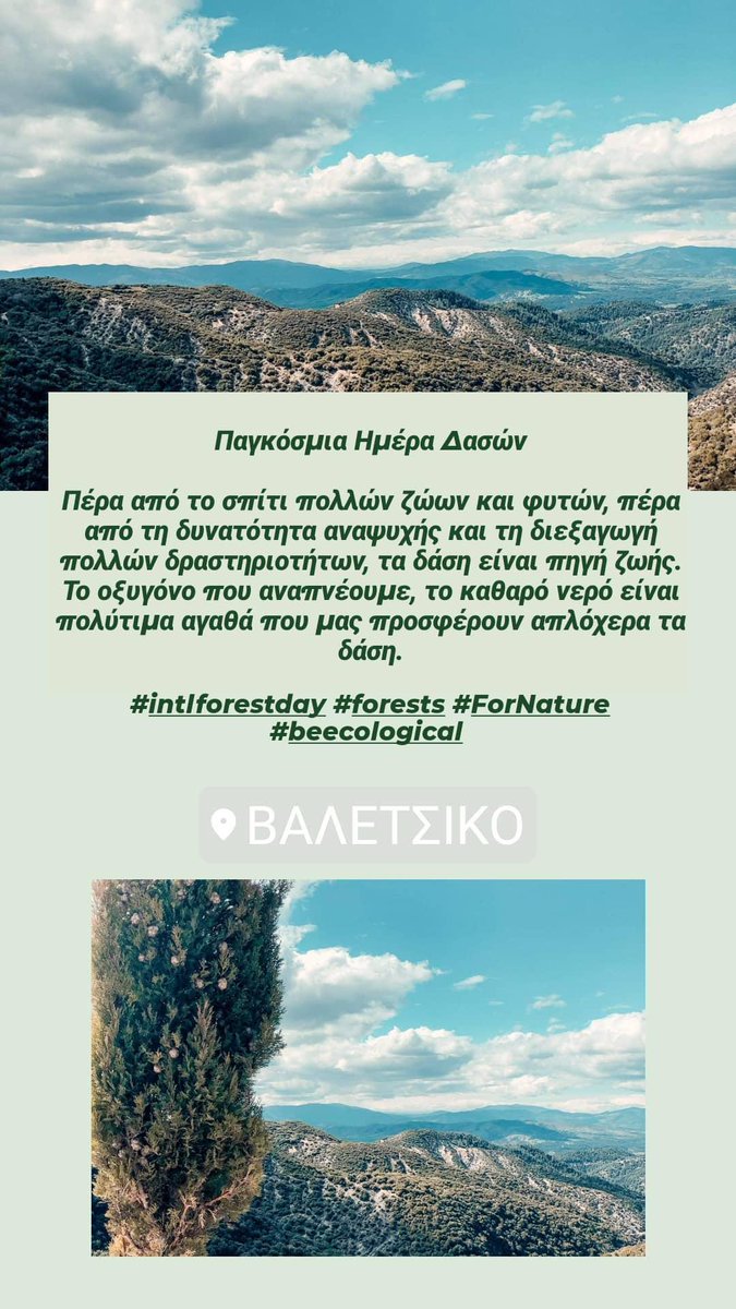 BeecologicalB's tweet photo. 21 Μαρτίου
Παγκόσμια Ημέρα Δασών https://t.co/p04as0vVlf