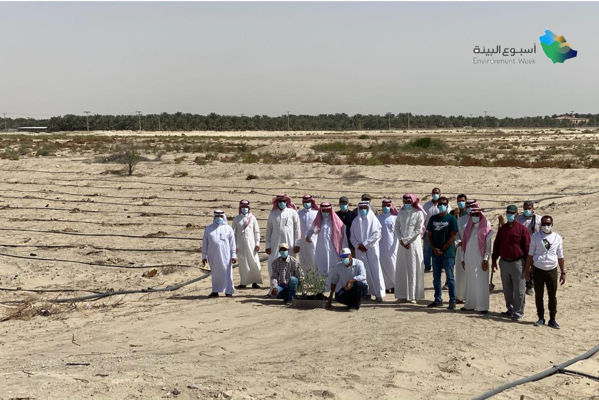 ncvcksa's tweet photo. ضمن فعاليات أسبوع البيئة #البيئة_لنا_ولأجيالنا 
تم زراعة ( ١٠٠٠ شتلة ) في منتزه الأحساء الوطني. https://t.co/jmyWzXhjOF