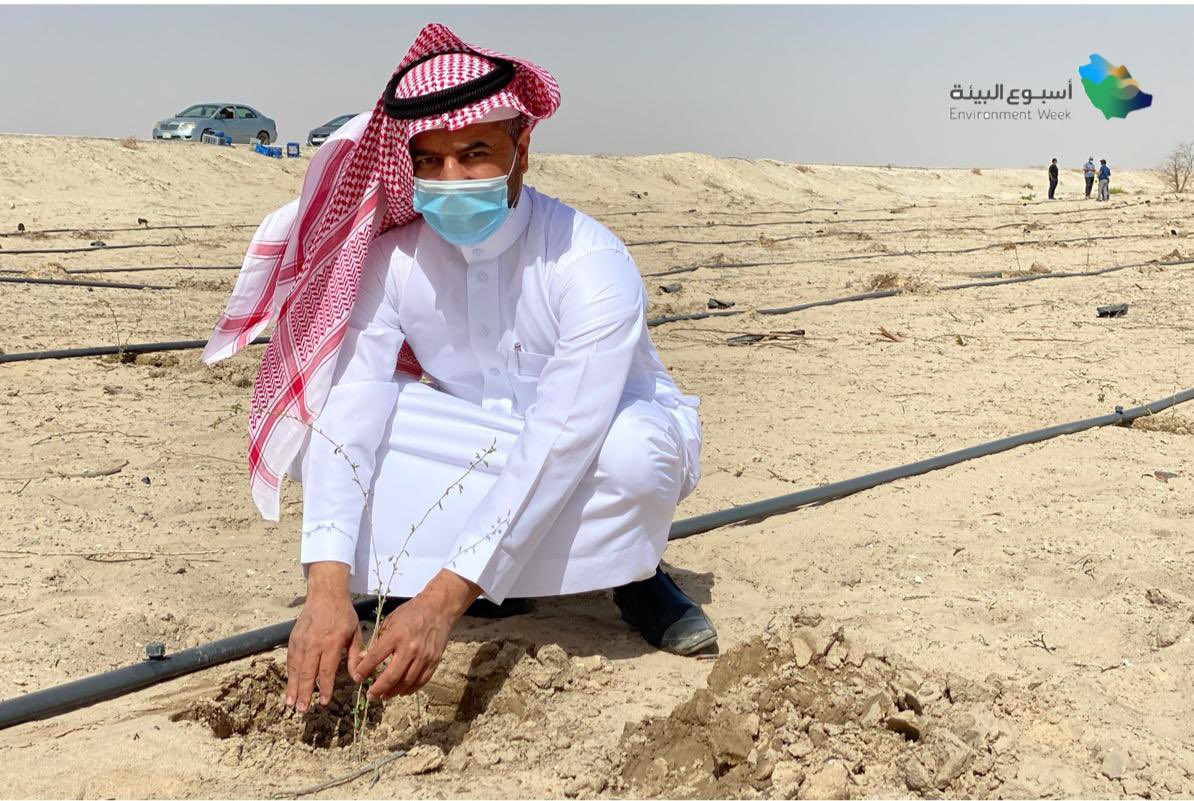 ncvcksa's tweet photo. ضمن فعاليات أسبوع البيئة #البيئة_لنا_ولأجيالنا 
تم زراعة ( ١٠٠٠ شتلة ) في منتزه الأحساء الوطني. https://t.co/jmyWzXhjOF