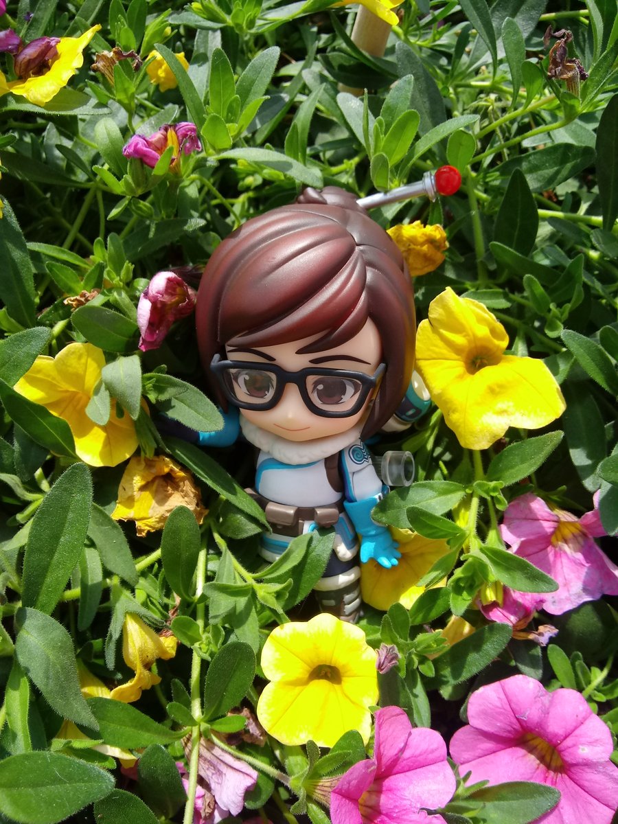 NendoroidLady's tweet photo. Happy Spring!🌼🌺🌻
#Spring2021 #Mei #Overwatch #Nendoroid @PlayOverwatch @GoodSmile_US https://t.co/cvCMULPu4E