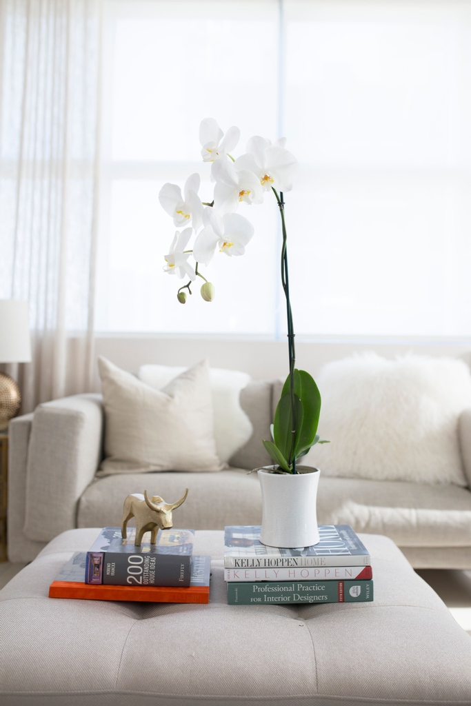 SVOrchids's tweet photo. White Orchid
smiles in the morning sun
as its creepers reach out
for the last drop
of fresh morning dew
A beauty of nature
sings upon the sunrise
birds join in chorus
“Come, Look at me” - InkdropK https://t.co/7zpE9S497u