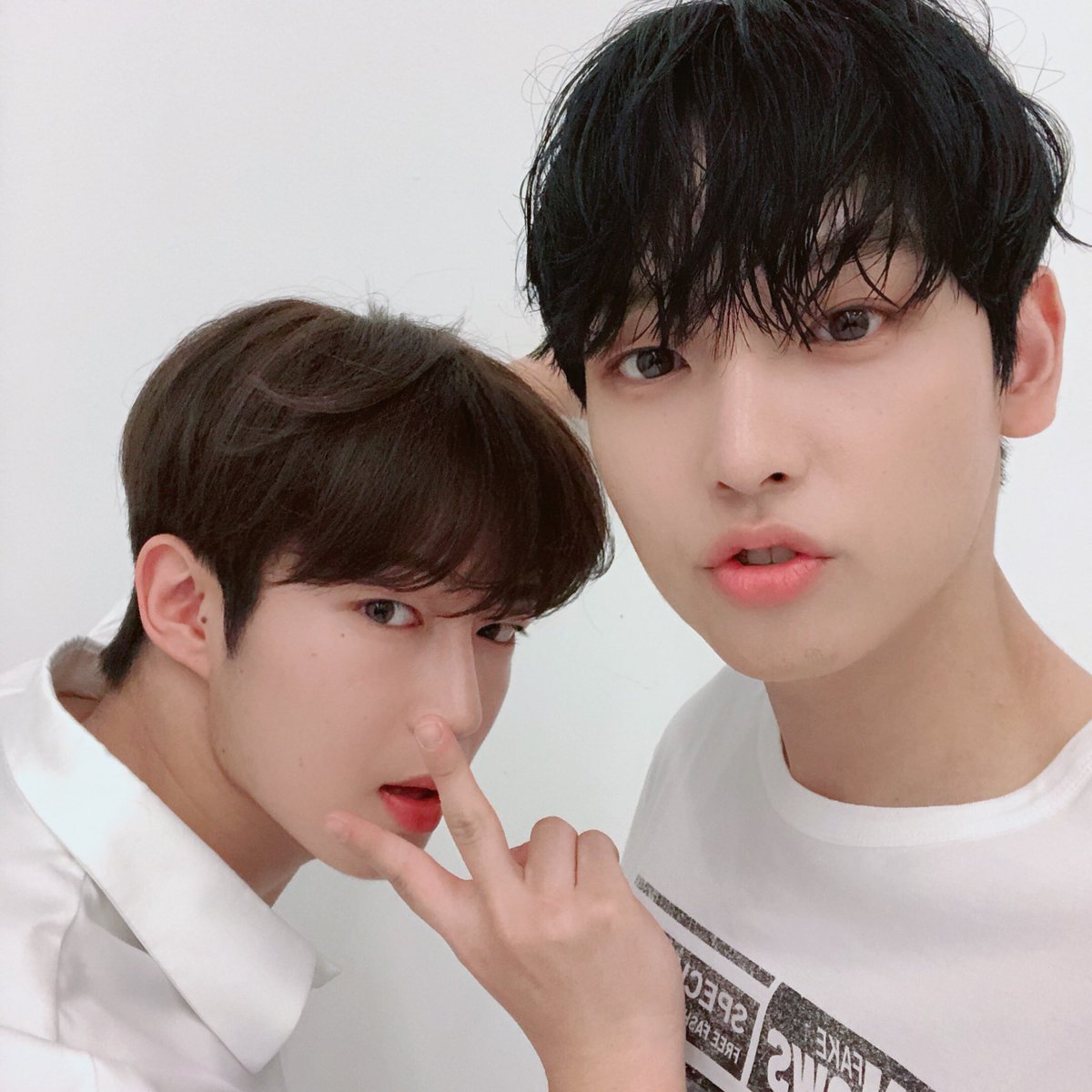 MONIX_P1H's tweet photo. เล่นเอง​ เขินเอง​ 4คู่ชิปที่หนักแน่น​ในการพายเรื่องอย่างมาก(=_=)​
#SF9​ #INSEONG #DAWON​ #ROWOON​ #CHANI
#P1Harmony​ #KEEHO #THEO #JIUNG​ #INTAK

#เห็นเราแล้วนึกถึงคู่ชิปคู่ไหน https://t.co/yX7wLphgRl