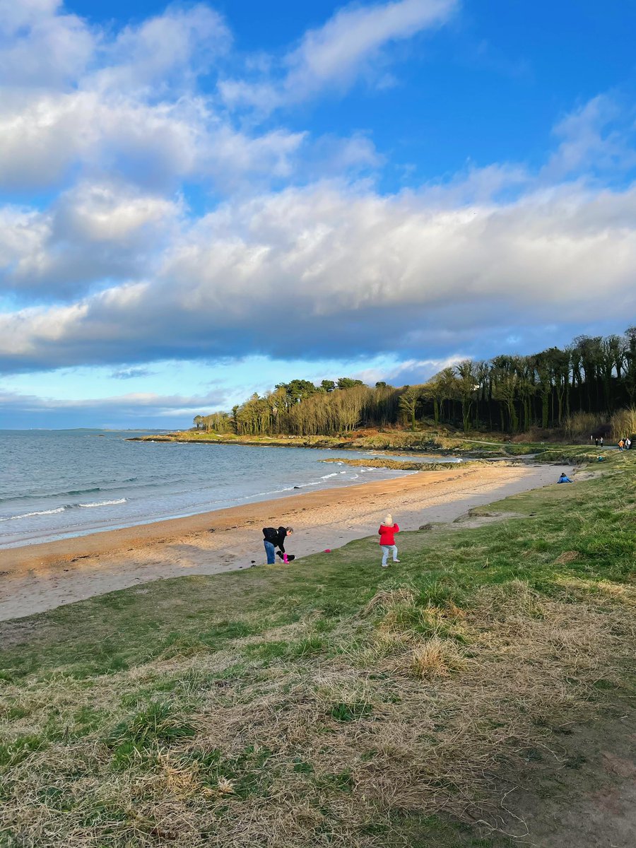 andreoloa's tweet image. 6 months of wearing shorts has begun