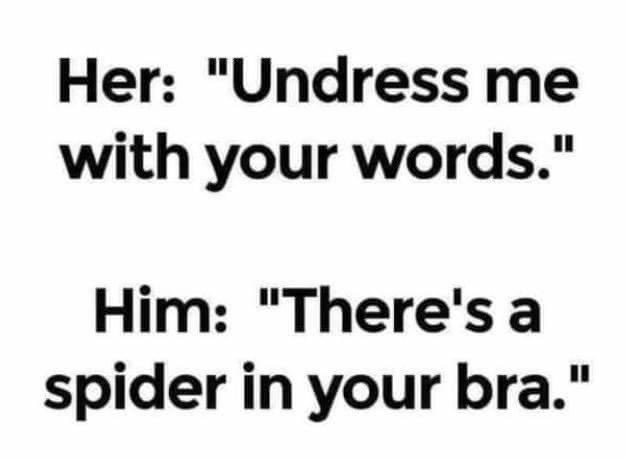 Utterly Feral tweet media