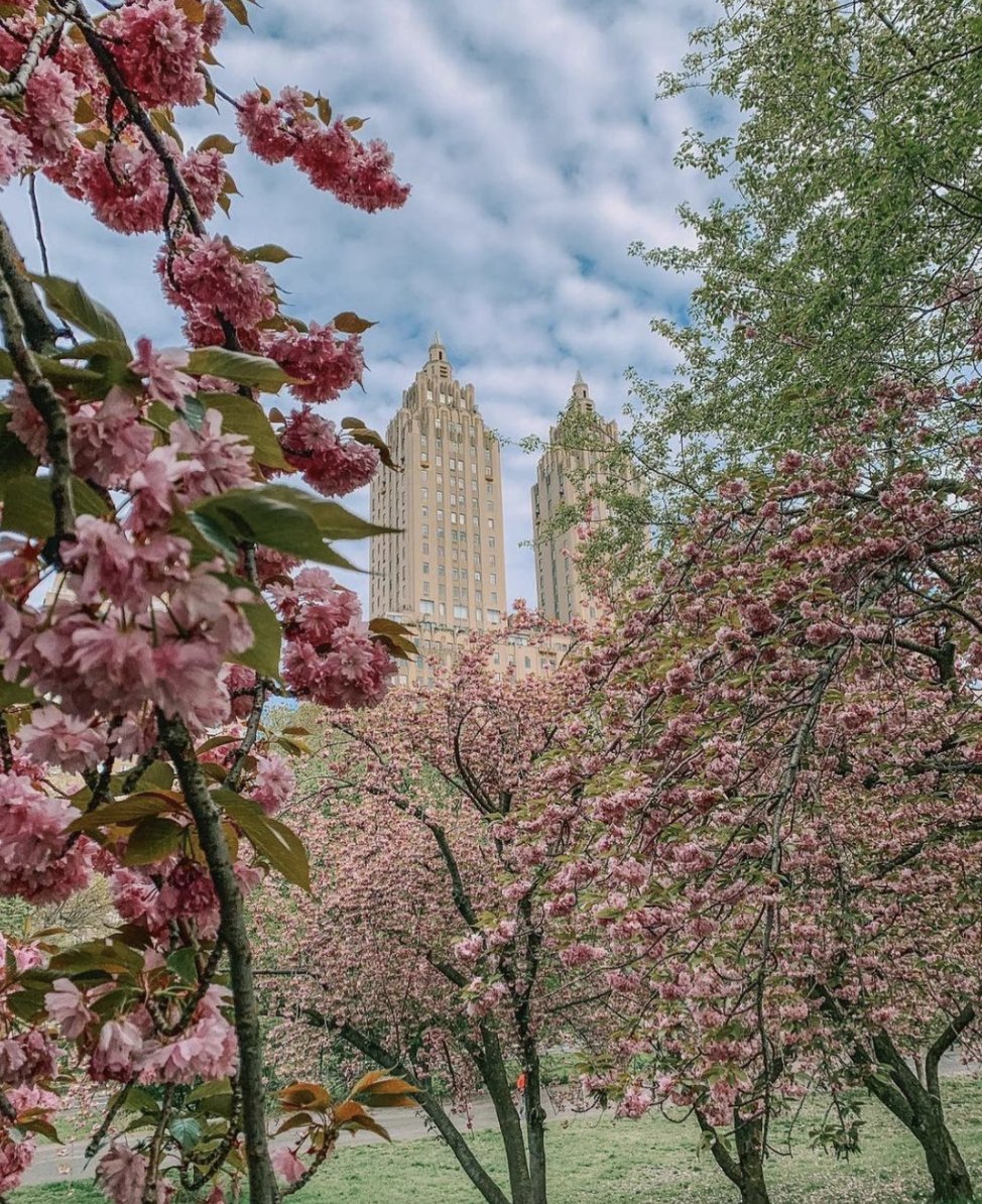 InterconNYC's tweet photo. Cloaked in color.🍂

Chase spring's charm all the way to our Central Park backyard by booking one of our exclusive seasonal offers. https://t.co/ouoG4QbZFk

#InterContinentalLife #AllInNYC #ExploringTimesSquare

[📷: @blossomandbabe_nyc] https://t.co/nkXvCiyJZq