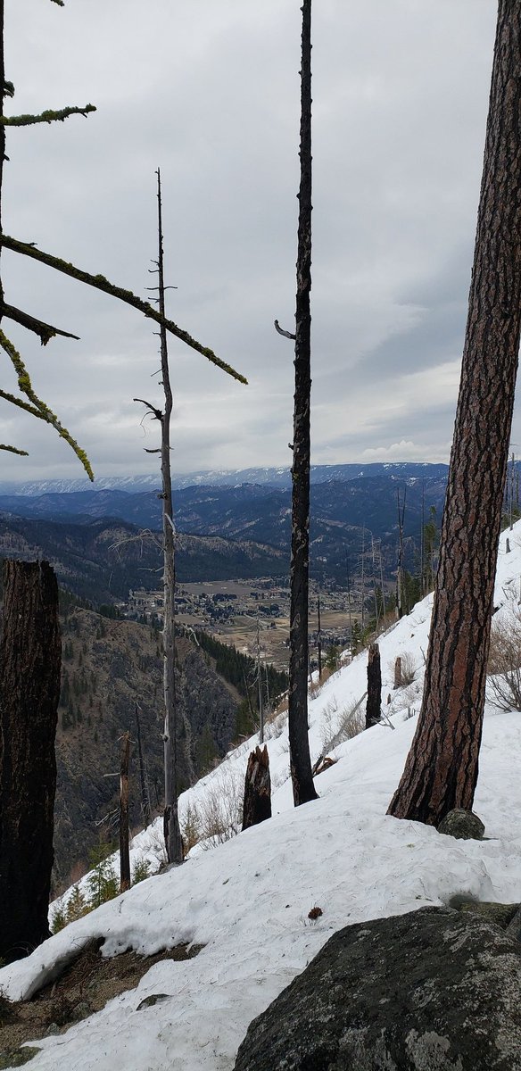 actuallyitssage's tweet photo. I was not at all prepared for this #hike. 10/10 would suffer through again anyway. https://t.co/qvO8vN3JQK