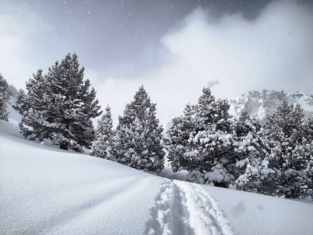 Vincent Thomas tweet media