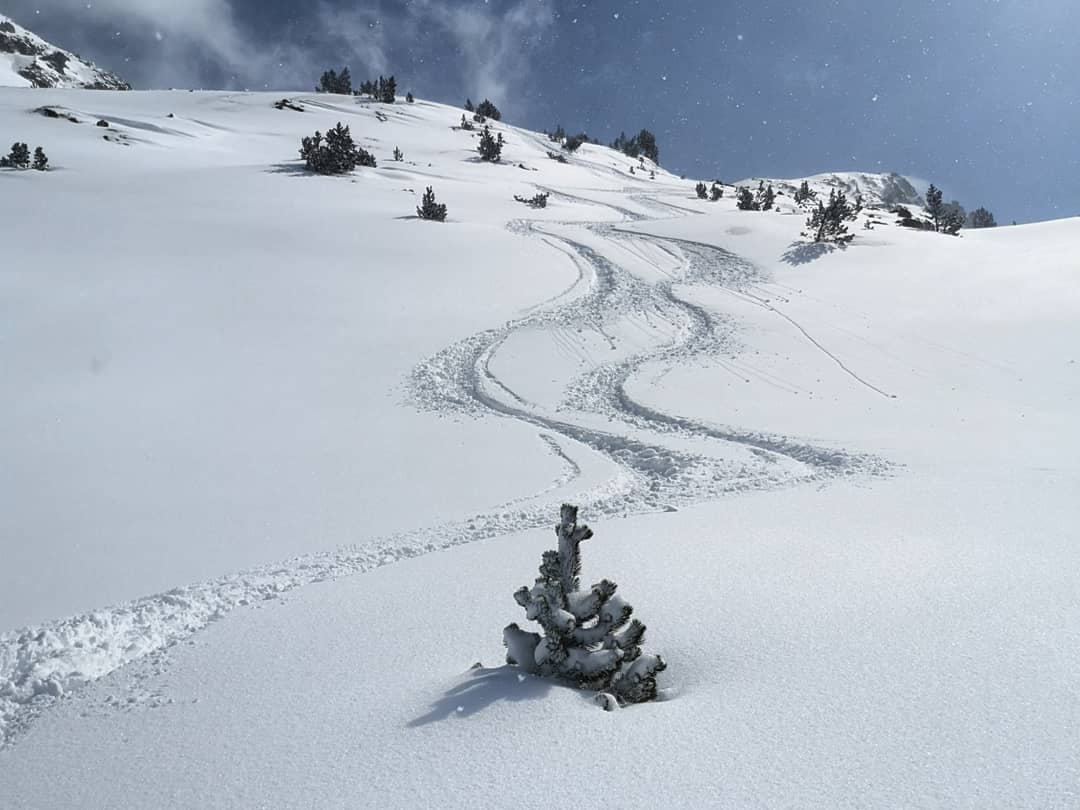 Vincent Thomas tweet media