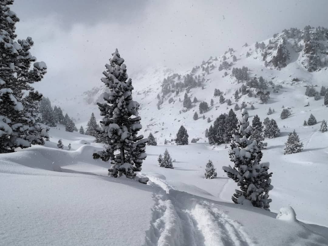 Vincent Thomas tweet media