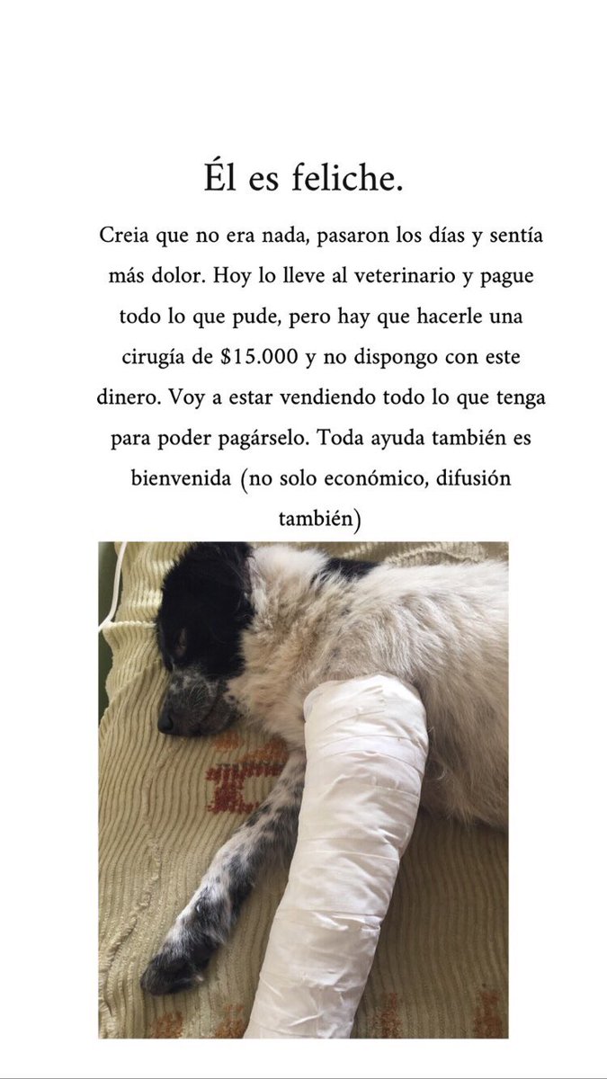 MilipittorinoM's tweet photo. Pido DIFUSIÓN ABSOLUTA! Soy de La Plata.
No tengo cómo pagarlo pero SE que el va a estar como nuevo. Por favor. RT https://t.co/p99sI5xBPv