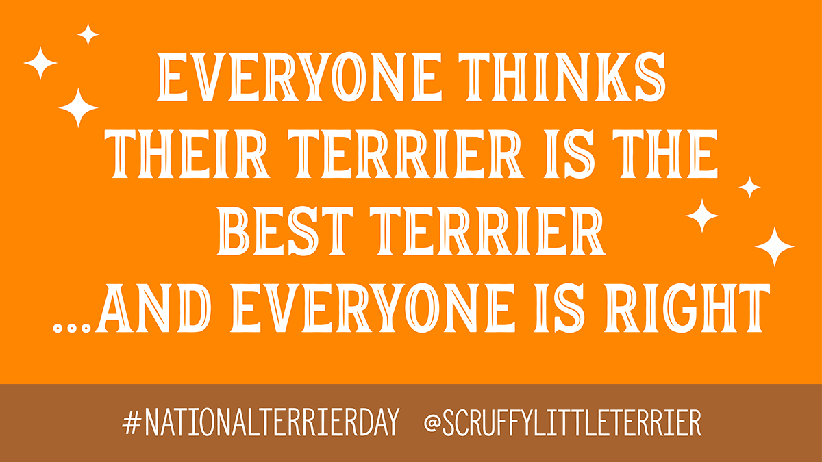 MichelleSLT's tweet photo. It's #NationalCountdownDay 5-4-3-2-1🚀
I think you can guess what day we're counting down to! 5 days to go until National Terrier Day when we can all celebrate our best #terriers! 🐶

🚀Join us on #NationalTerrierDay Sat 27 March for #terriertakeover 🎉

#btposse #dogsoftwitter https://t.co/lj6E5RPO9o