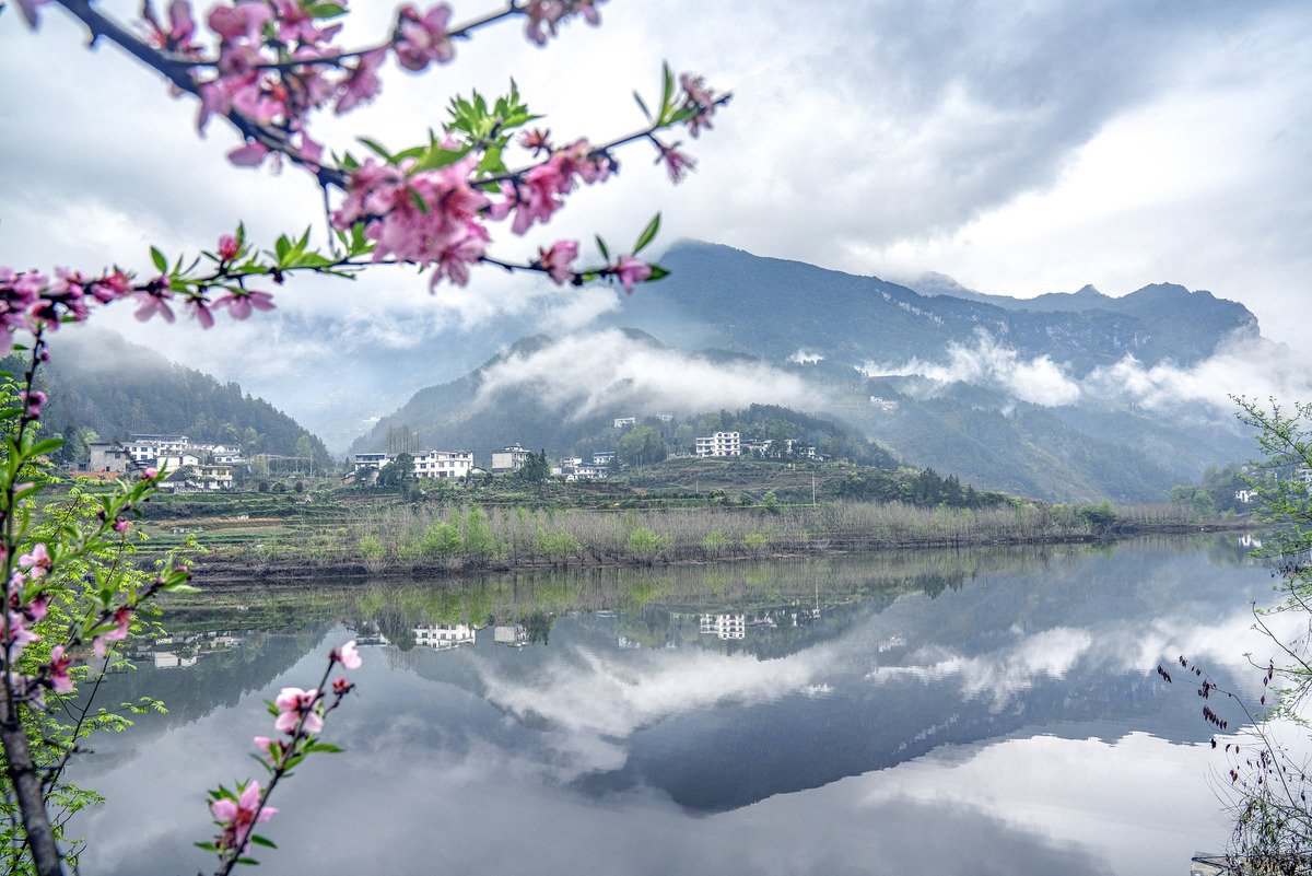 ChinaIraq's tweet photo. المناظر الجميلة في موسم الربيع في أنشي بمقاطعة هوبي وسط الصين #SpringSights https://t.co/6c4EptagW9 https://t.co/boanKUcSpB
