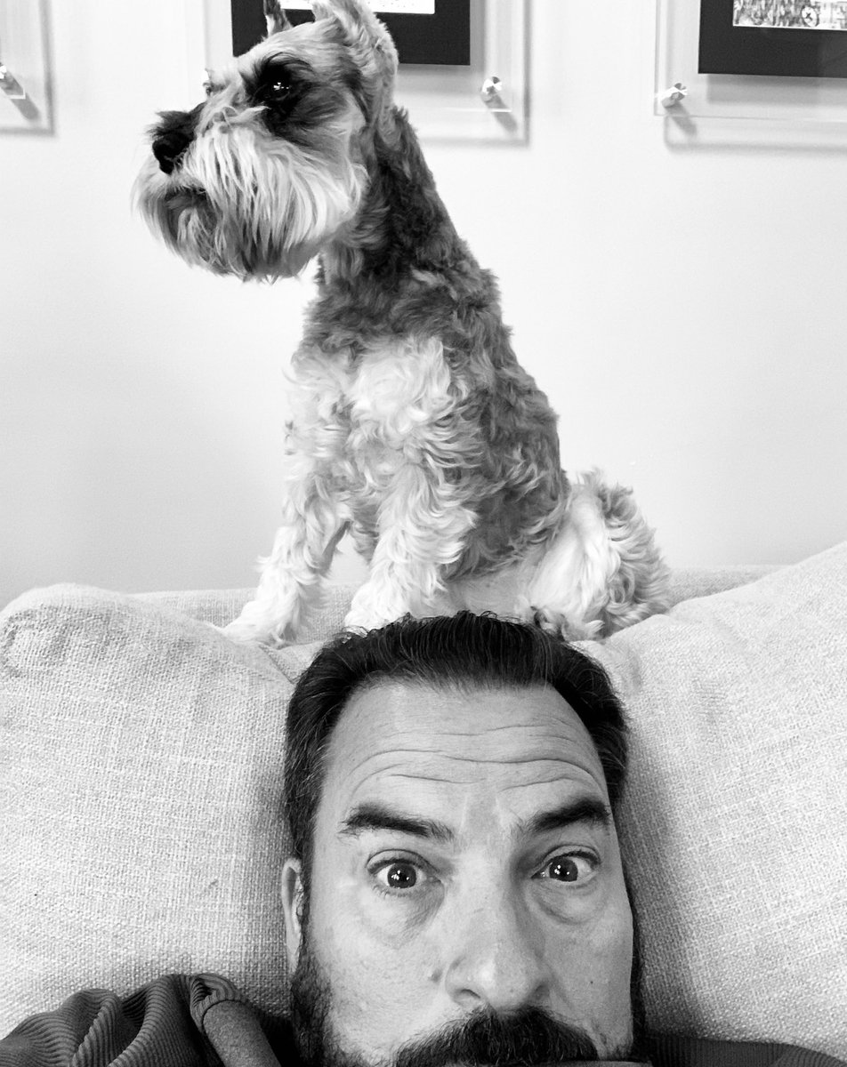 BURTPetSitters's tweet photo. Is this how seating works at your house? https://t.co/YSGNCEkW5j