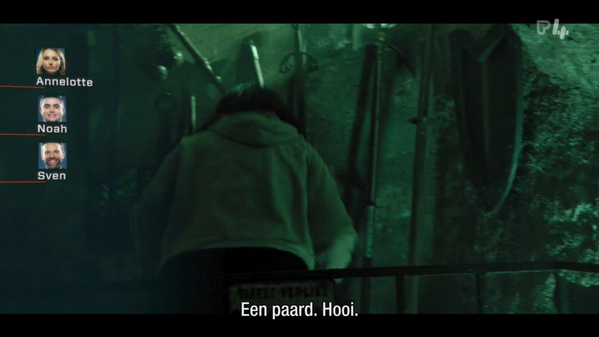JLoeys's tweet photo. #DeMol 
Wanneer je een paard tegenkomt en hem wil begroeten https://t.co/AVhkkedqPW