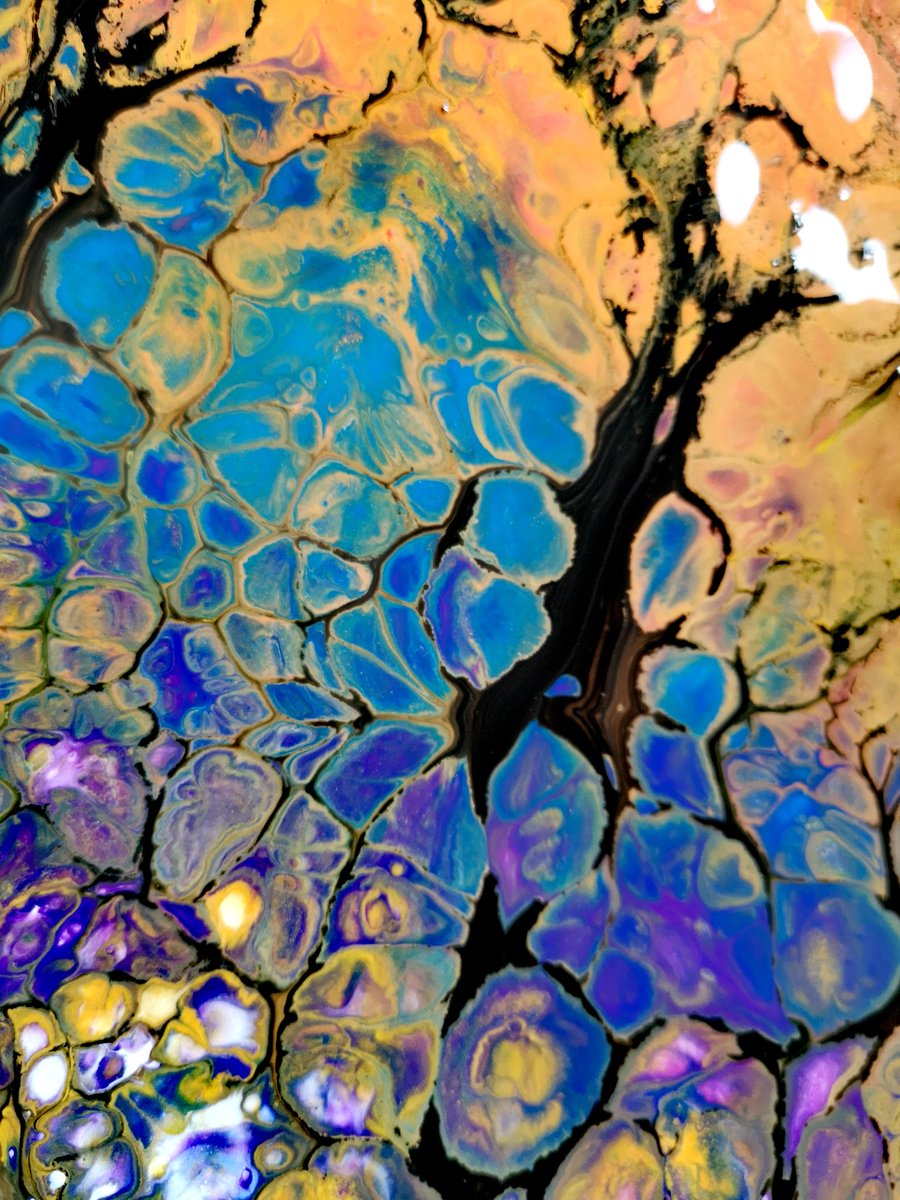 LauraDentArt's tweet image. Snook a couple more attempts in late morning to test out colour ways before I commit to the large scale pieces in the Easter holidays #cells #paintpouring #artwork #art #ArtistOnTwitter #texturehuntergatherer #acryliconcanvas #floetrol #patterns #colour
