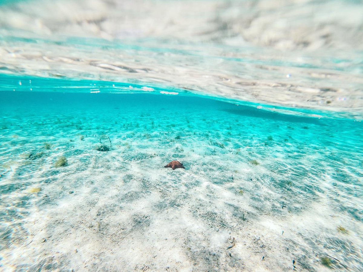 Sara Lynn Burnett tweet media