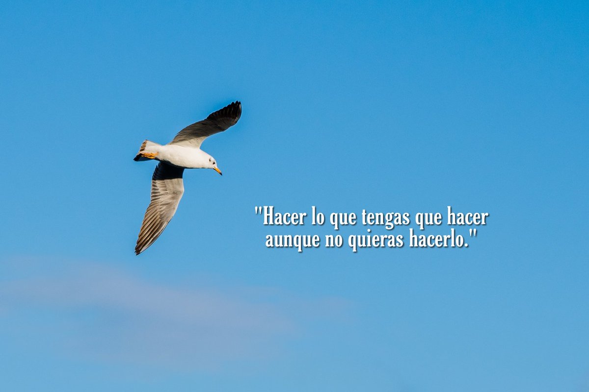 "Hacer lo que tengas que hacer aunque no quieras hacerlo."

#FelizDomingo