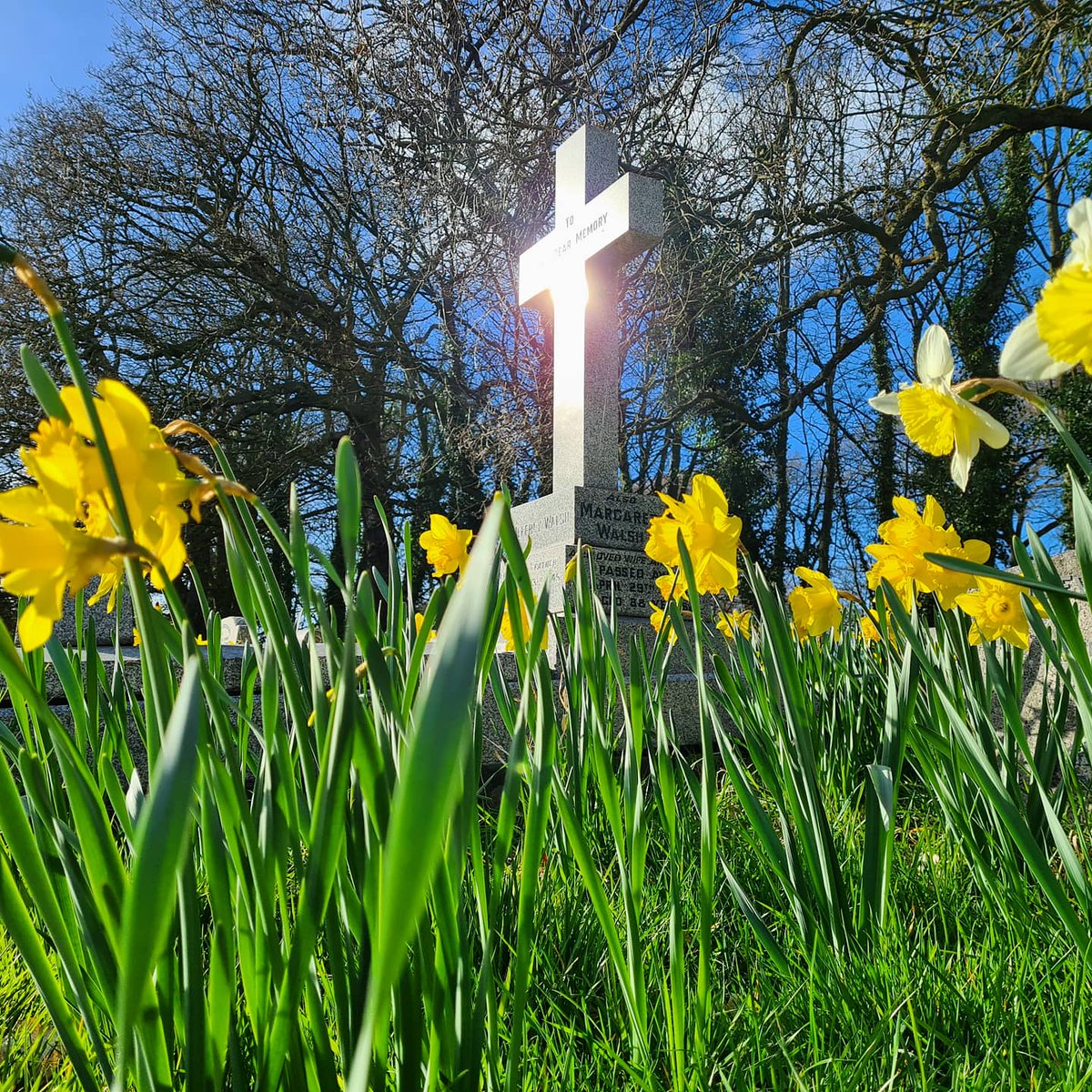 Kirsten_B's tweet photo. Beautiful Lytham day β€πββοΈ #lytham #lythamlife #spring #Daffodils https://t.co/aulzIXU7Co