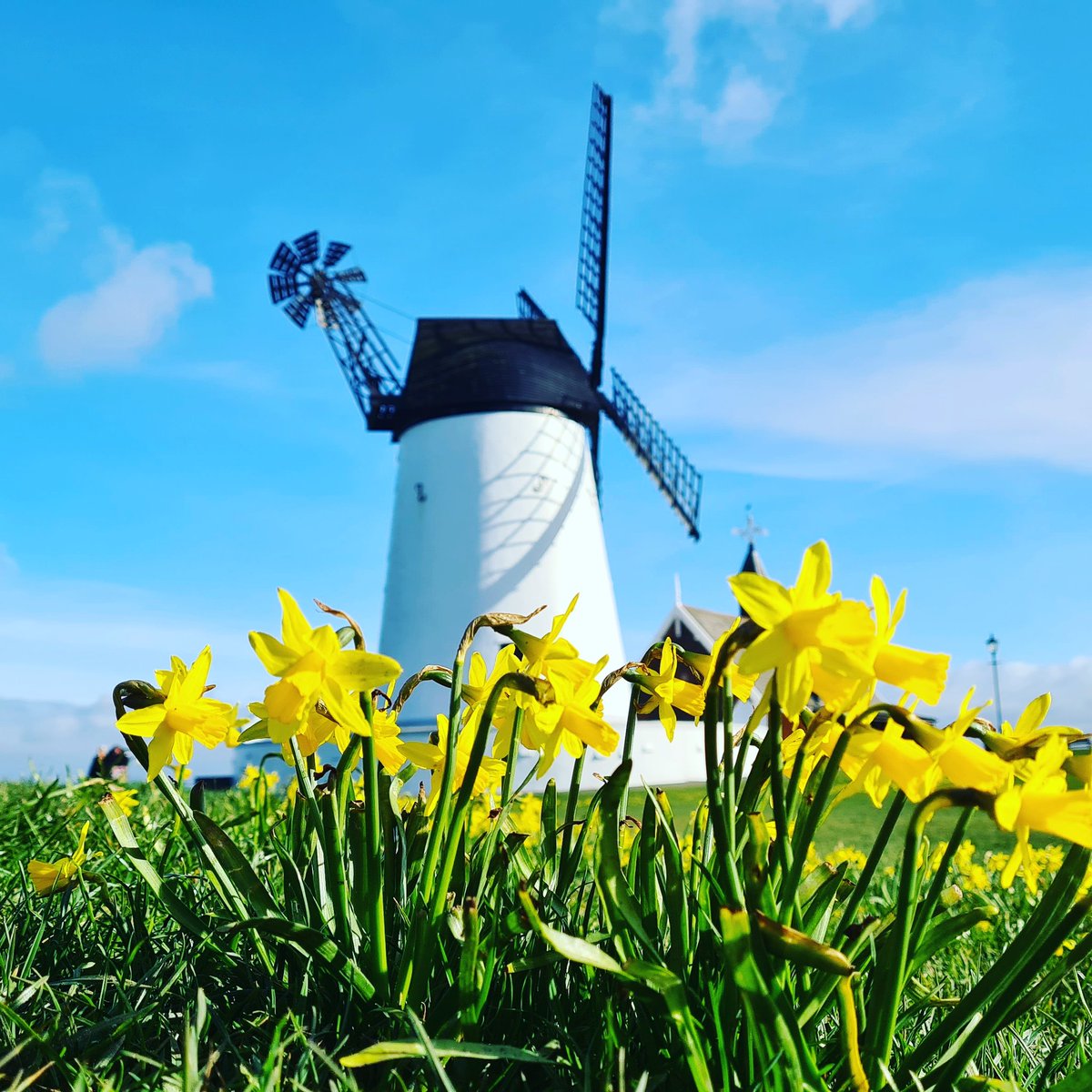 Kirsten_B's tweet photo. Beautiful Lytham day β€πββοΈ #lytham #lythamlife #spring #Daffodils https://t.co/aulzIXU7Co
