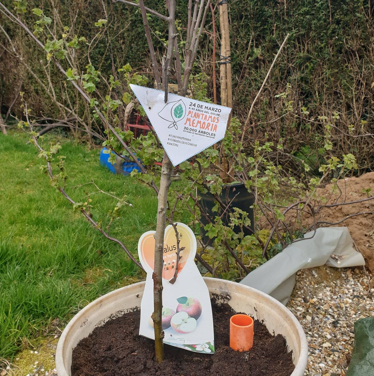 💚ester sφfía stekelberg💚 tweet media