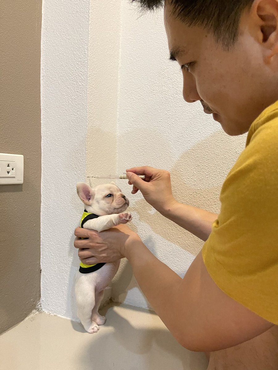 ไหน วัดส่วนสูงหน่อยซิ