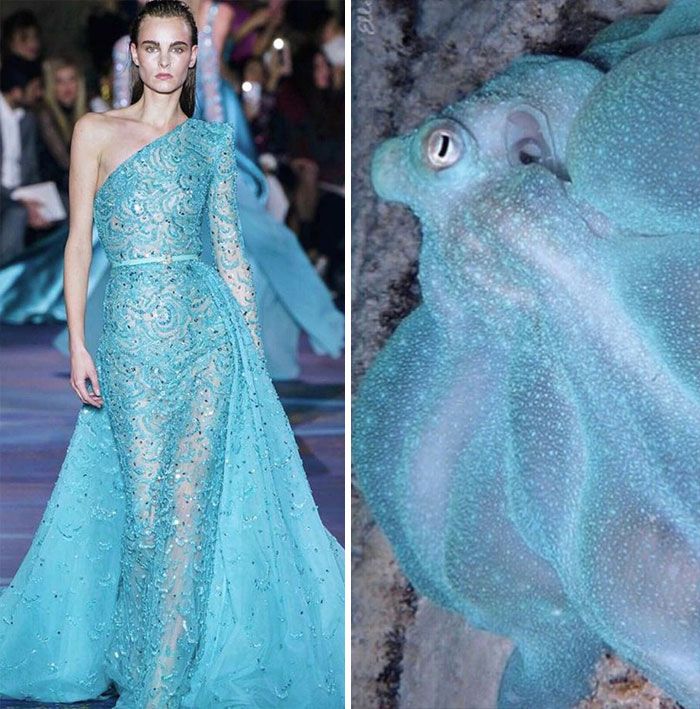The creator of the Instagram account fashion.biologique is Jill Scherman from Maine, USA and she has collected the best examples of fashion and nature images, which when juxtaposed have an uncanny resemblance. Check it out here ➡️ buff.ly/3cGkNnD