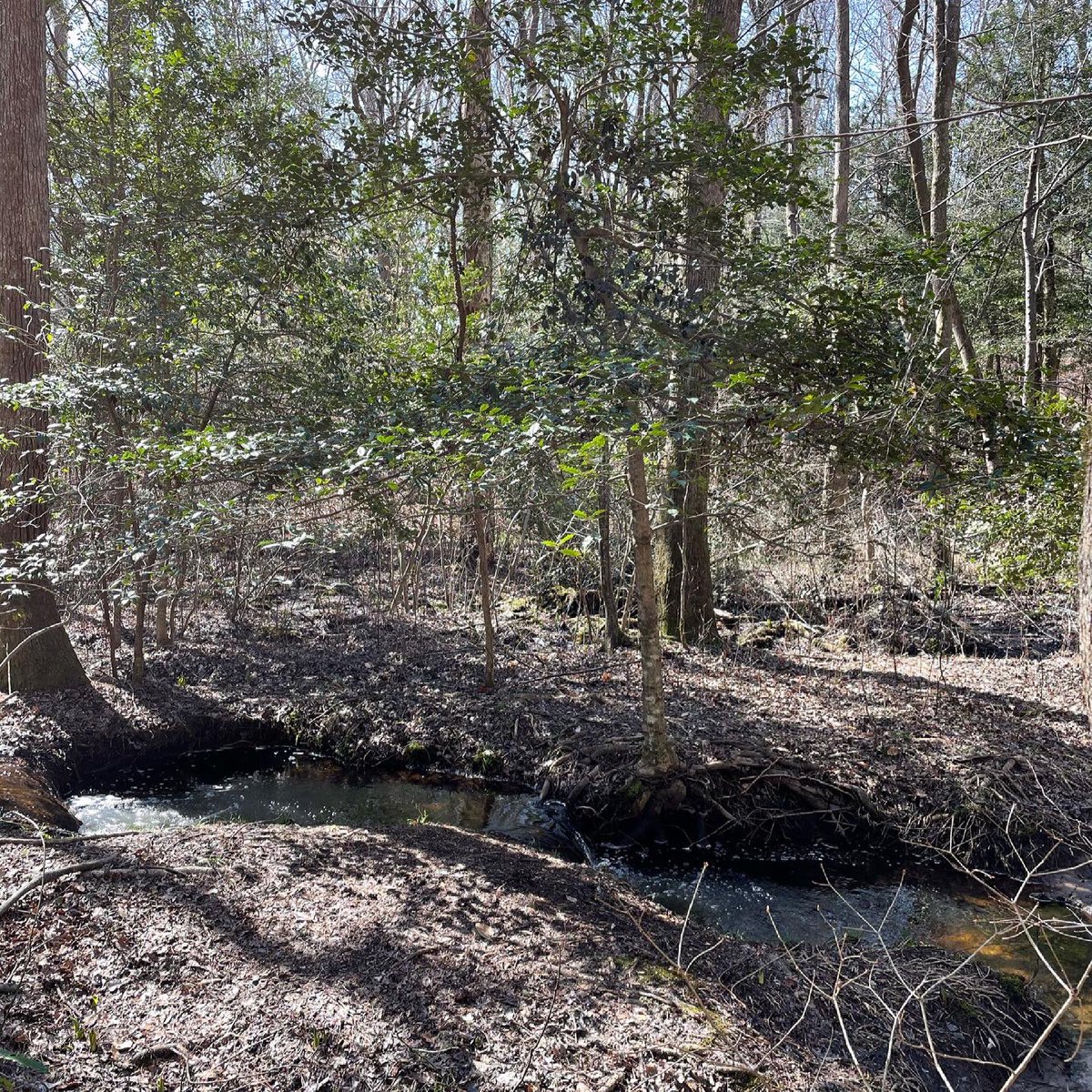 CinziaSpringer's tweet photo. #rva #getoutside #hiking #wellness https://t.co/DLWncHcFyT