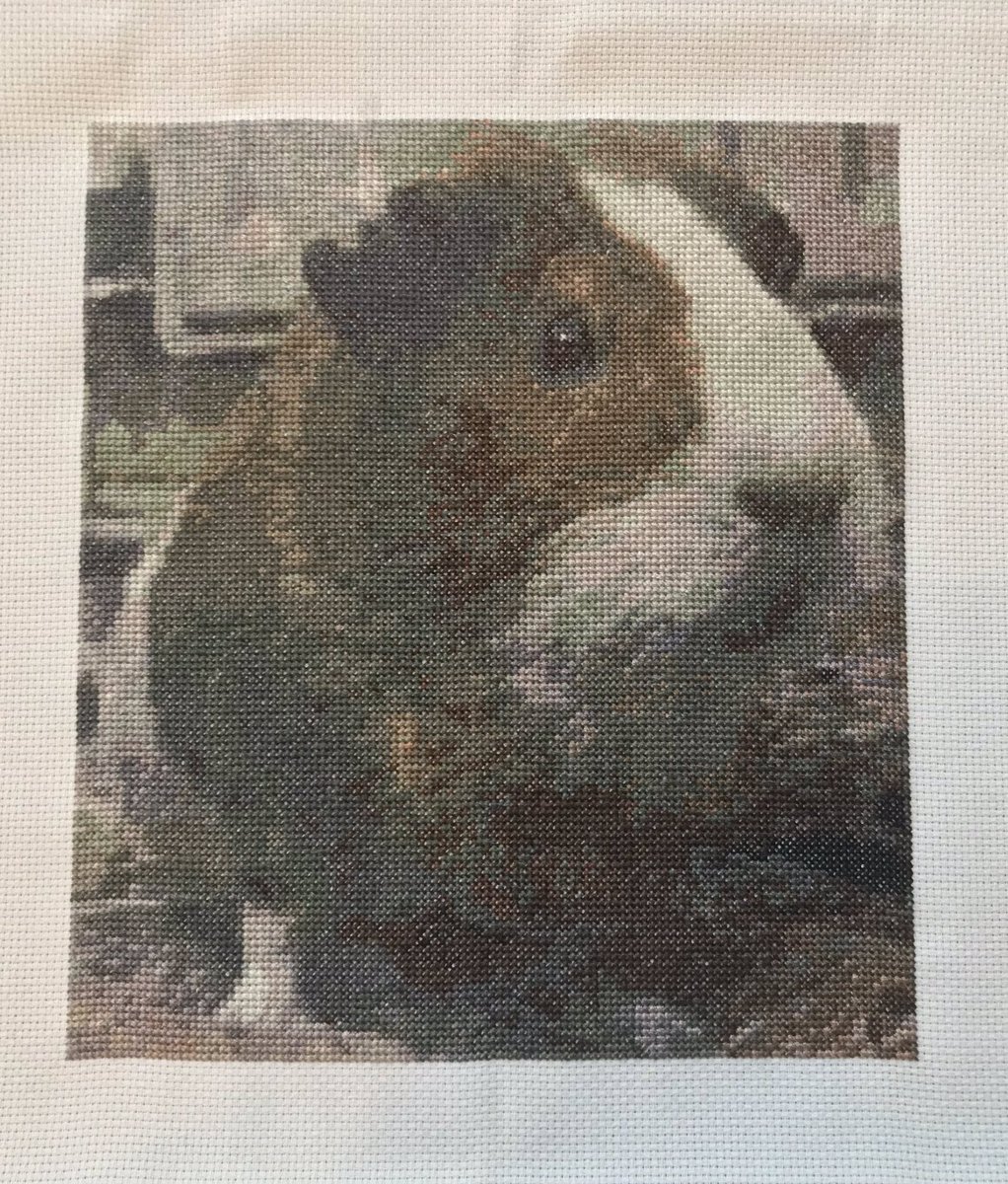 bexstitch's tweet photo. My gorgeous Mercedes all finished. One left to go! #crossstitch #design #stitch #xstitch #guineapig 💜 https://t.co/Di0CAimRTQ