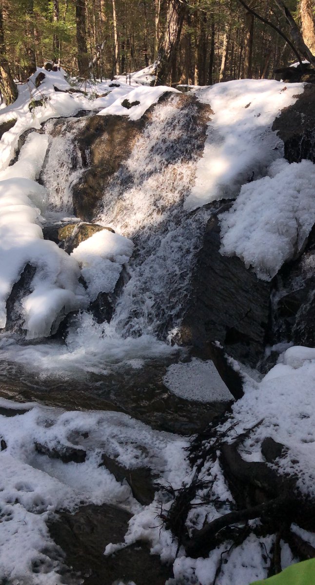 lyssmarri's tweet photo. First time chasing waterfalls this year 😍 #2021 https://t.co/jrXanOk0ev
