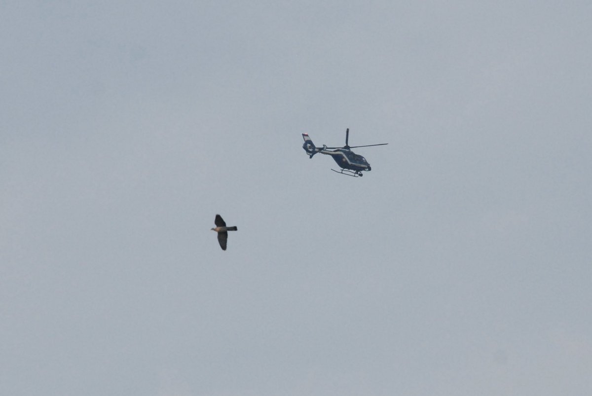 BlascoSH's tweet photo. Une nouvelle fois aujourd’hui l’hélicoptère de la gendarmerie survole les quartiers nord de Blois alors que le calme règne après la marche blanche en mémoire de Yanis ! https://t.co/tw6erae7fU