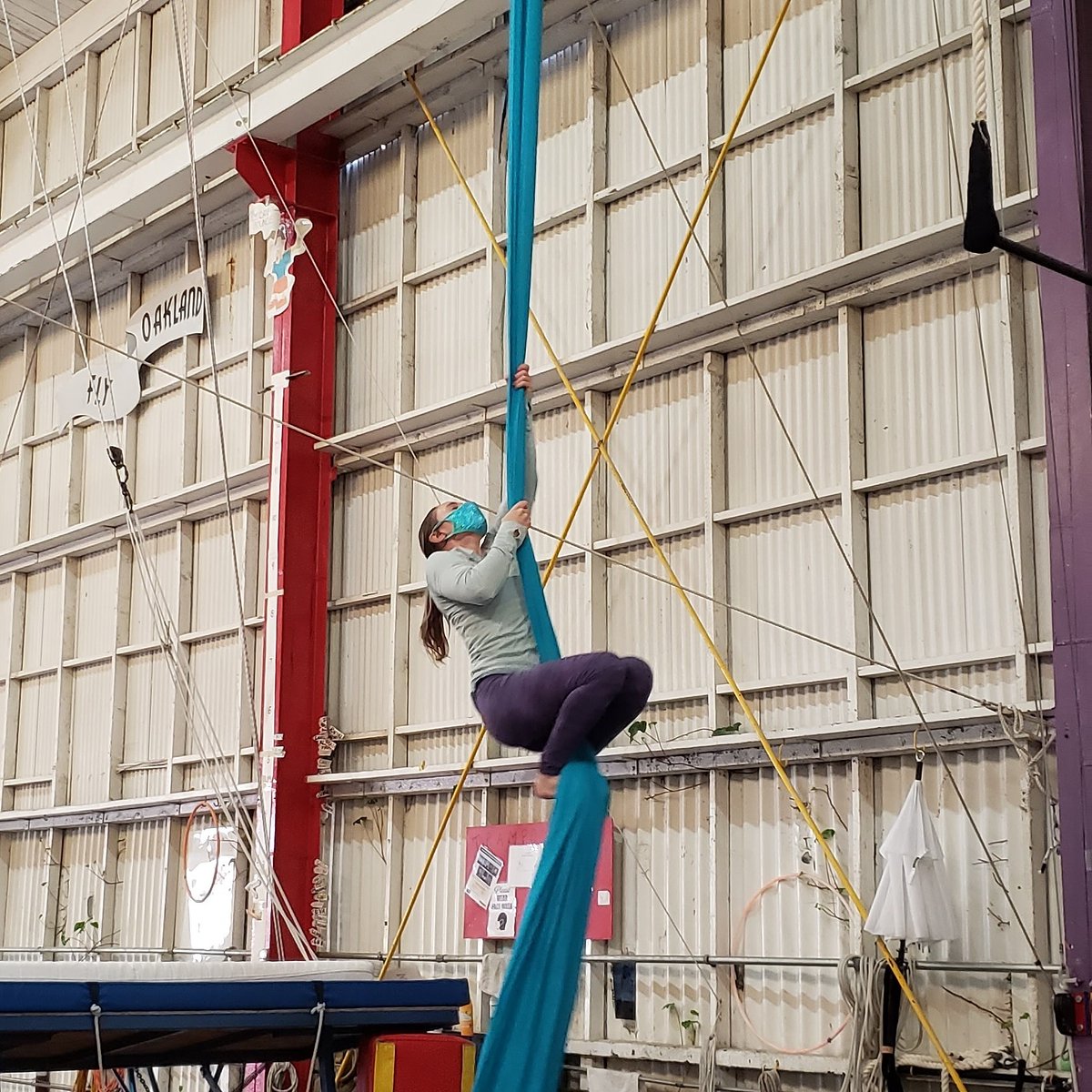 trapezearts's tweet photo. We are so excited to see our students in the air again! Flying trapeze classes are in full swing &amp; our new session of Aerial &amp; Trampoline classes starts on March 30...we have just a few spots left, so send an email to trapezearts@gmail.com if you'd like to book a spot. https://t.co/0KZWoCYQgo