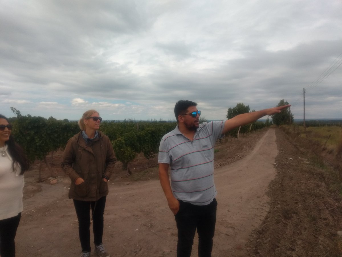 paladar_noir's tweet photo. Recorrida por los viñedos en El Cepillo con Fabián Vicario Biplano / Solito Va 
@BiplanoWine https://t.co/Yaikq9KV7Q