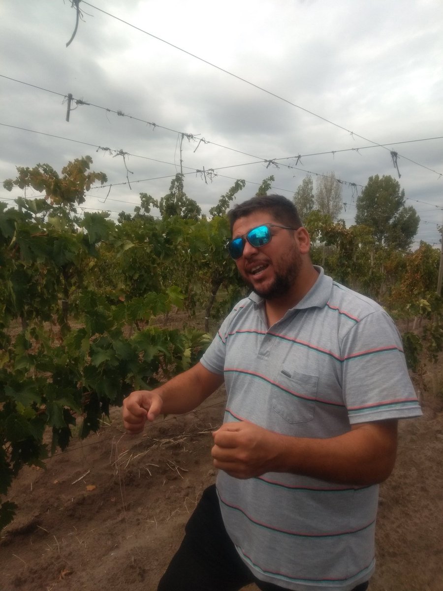 paladar_noir's tweet photo. Recorrida por los viñedos en El Cepillo con Fabián Vicario Biplano / Solito Va 
@BiplanoWine https://t.co/Yaikq9KV7Q