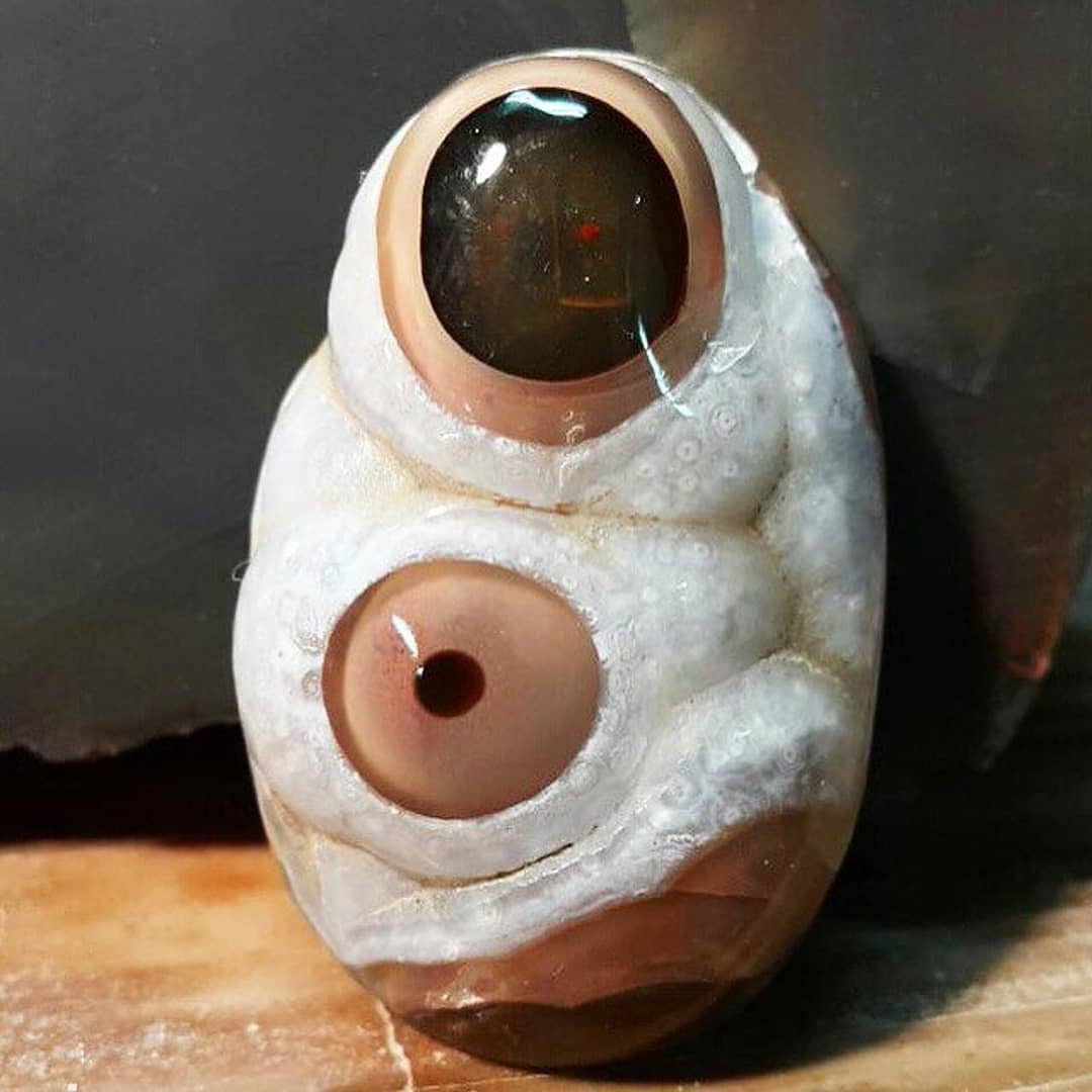 ApuntesCiencia's tweet image. #Ágata con ojos. Los #ojos se forman en huecos (oclusiones) que deja la #calcedonia donde cristalizan distintos minerales en capas sucesivas •  vía @GeologyTime #FotoCiencia Buyulutas/Etsy #mineral 👁