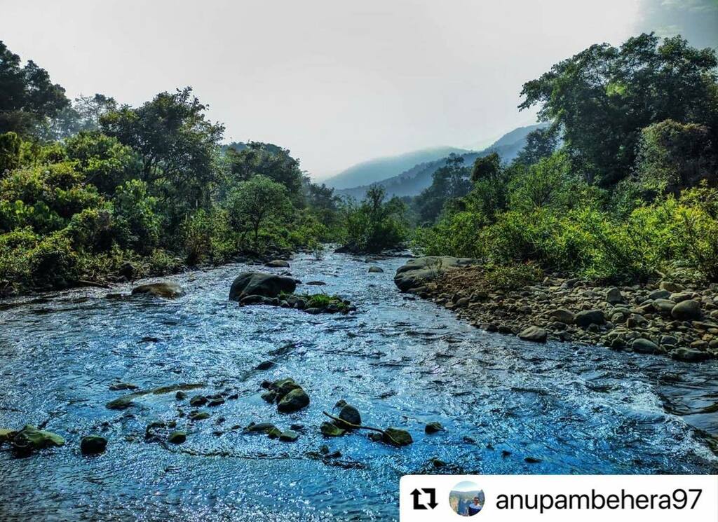 BBSRBuzz's tweet photo. #bhubaneswarbuzz #similipal pic courtesy @anupambehera97 
・・・
Be like a fresh flowing stream❤️💞
.#bhubaneswarbuzz #amaodisha #bandeodisha #travelphotography #travelagram #outwings #outlooktraveller #moganjam #moodisha #mobilephotography #pocox2 #explore #streetsofodisha … https://t.co/1k04solord