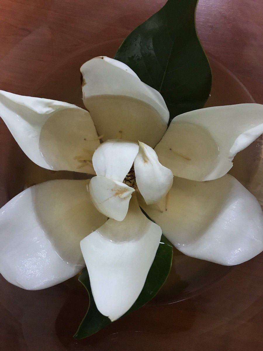 Şiddeti önlemenin bir yönü kanun yapmaksa, diğer yönü;

sevgi, şefkat, merhamet, sabır, tahammül, feragat, fedakarlık, diğergamlık gibi

ruhumuzu onaracak, muhabbetimizi artıracak, toplumsal çimentomuz olan değerleri büyütmektir

Ruhu ihmal edilmiş güç vurgusu şiddeti büyütür