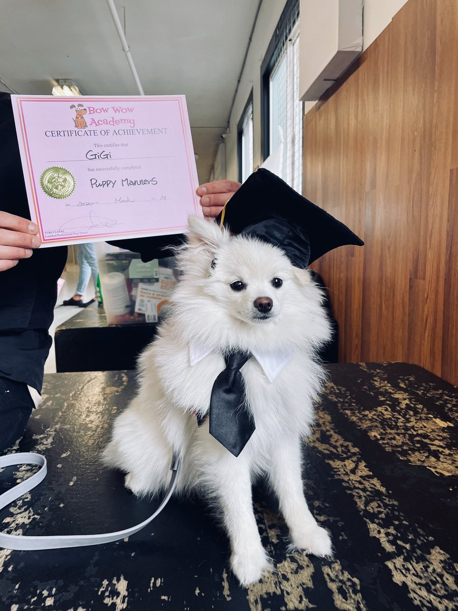 She’s a scholar and a Pomeranian