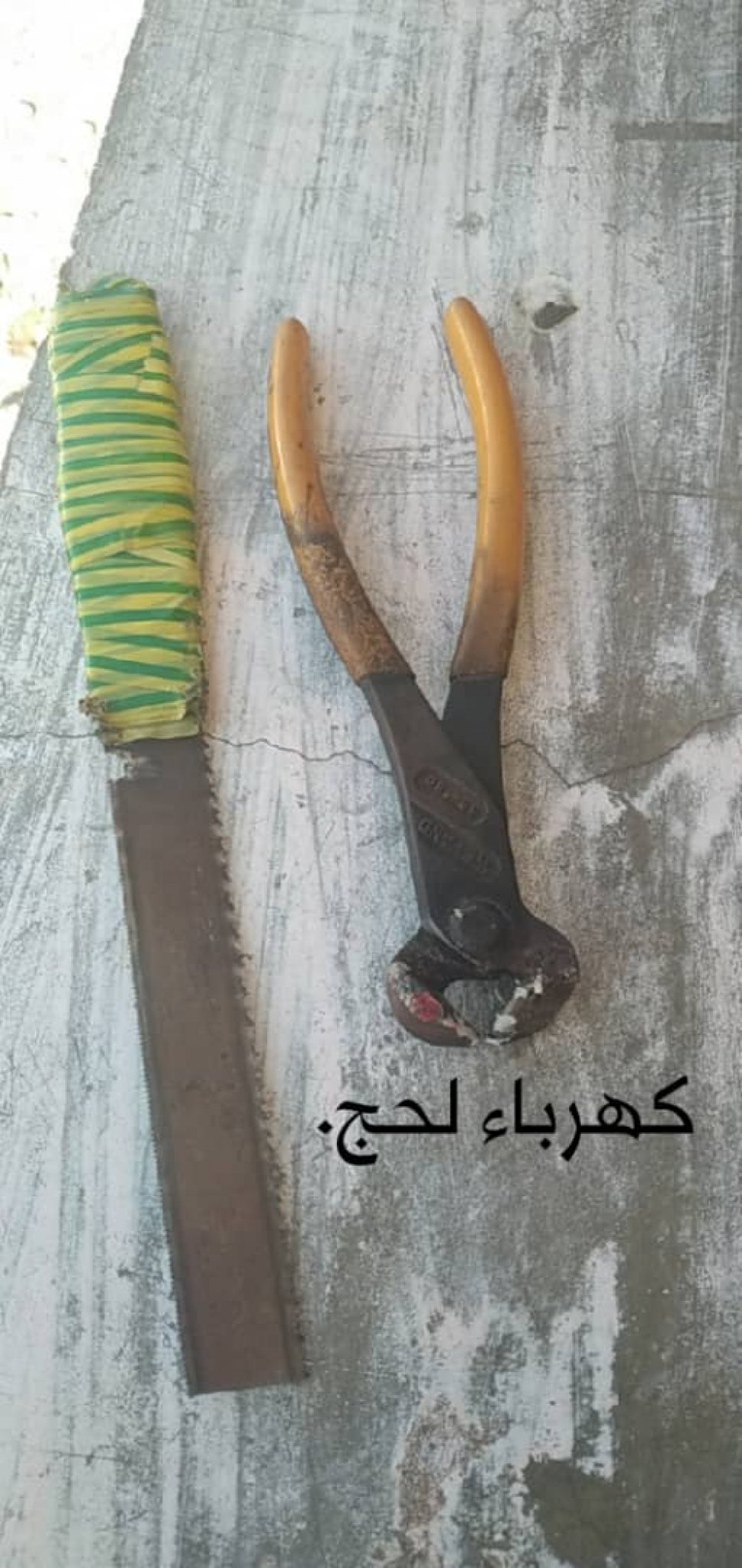 وائل السقاف