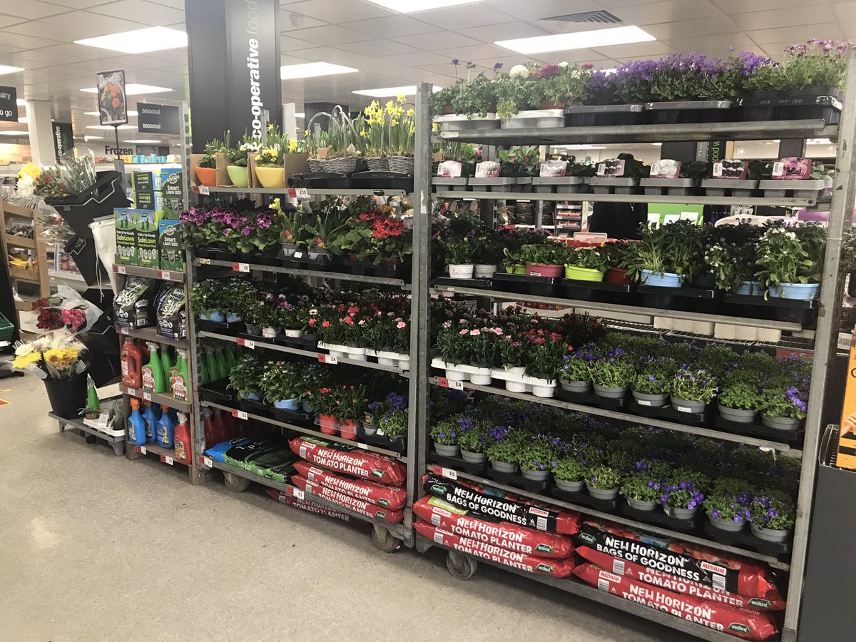 carl smitheman tweet media