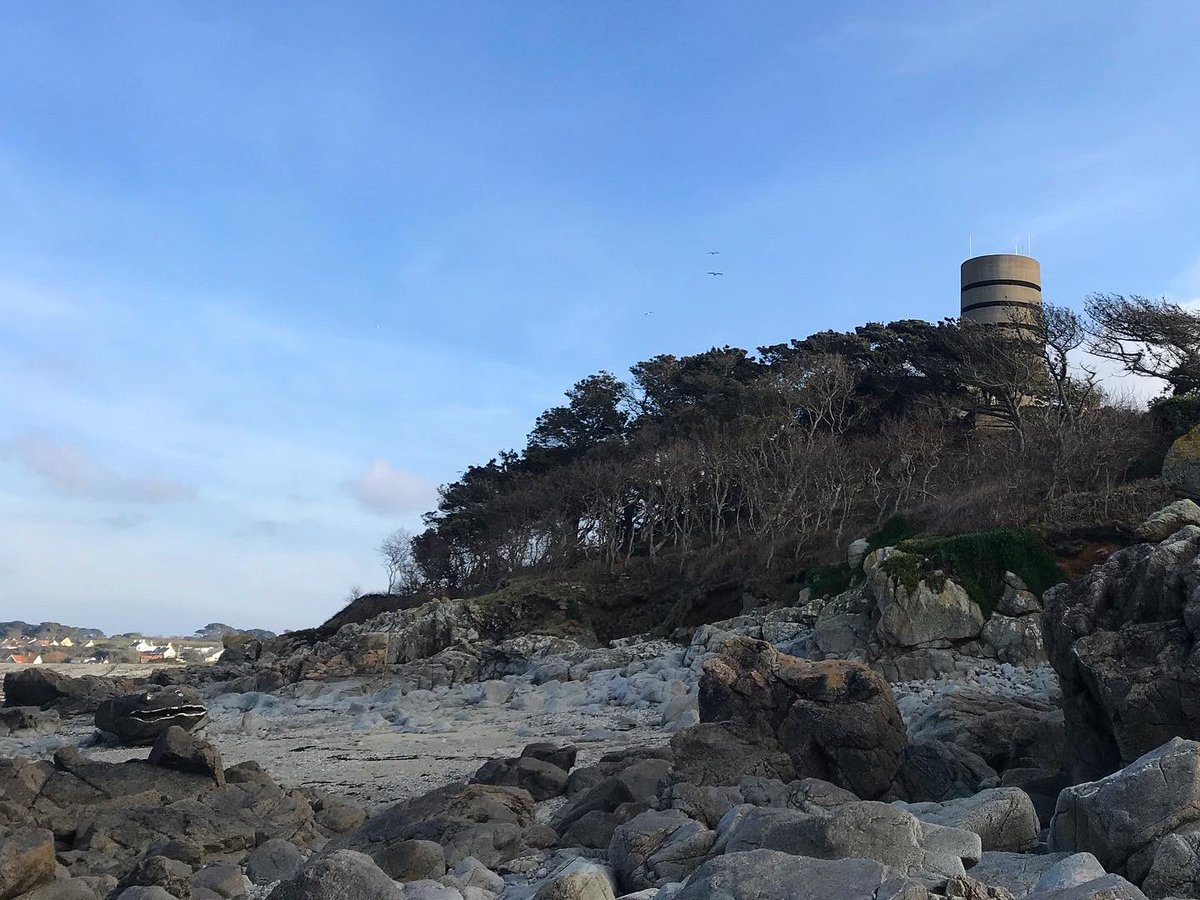 TomGirard's tweet photo. A few from exploring around the L’Eree/Lihou/Fort Saumarez headland this afternoon...
#lihou #leree #Guernsey https://t.co/5KoonyKrvx
