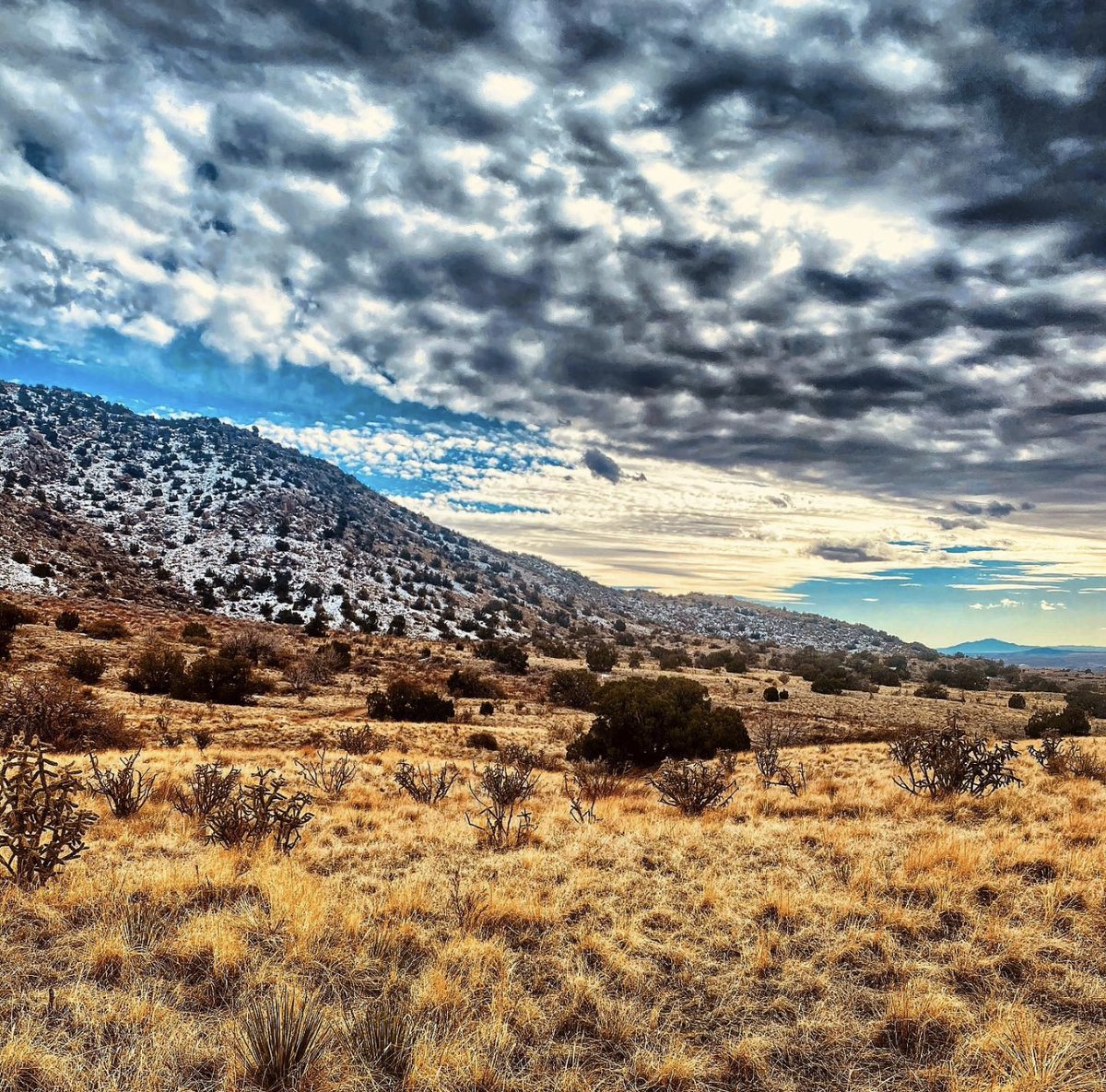RestoPizzaNM's tweet photo. We love the great outdoors! Thanks for sharing the shot, @desert.sky.photography. https://t.co/tuKHNnsEKu