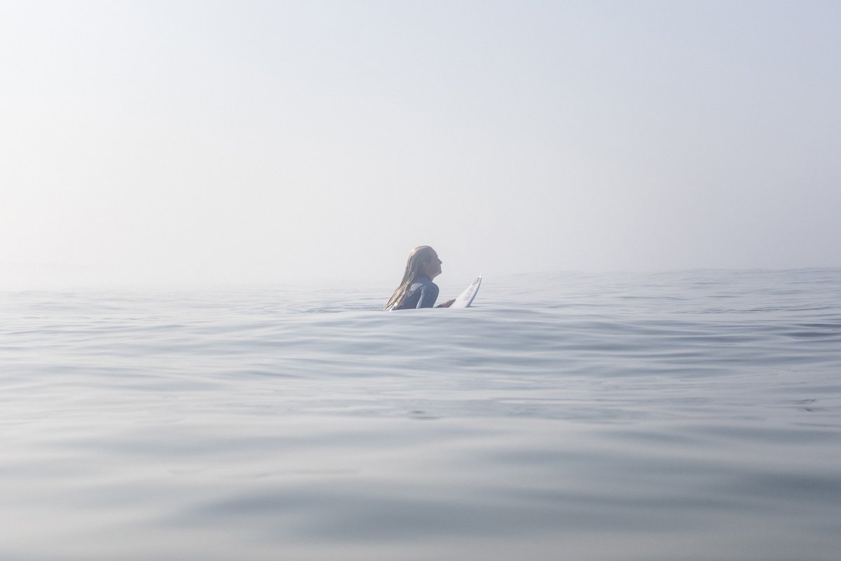 The Store tweet media