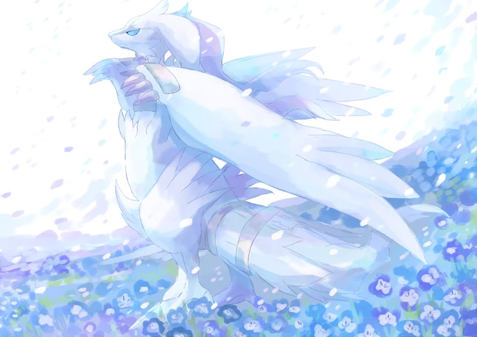 Nemophila 
