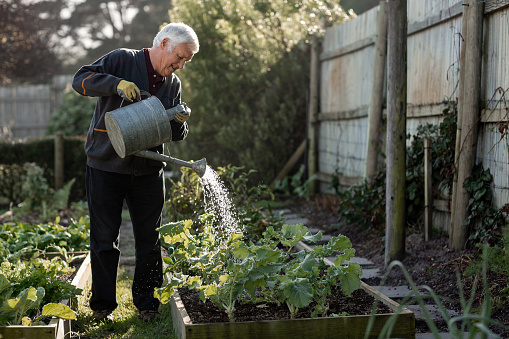 WWFSouthAfrica's tweet photo. We are looking for #LocalNatureHero stories to honour these champions for #EarthHour. You can nominate anyone you feel has done something that benefits nature & people, big or small.
Please retweet to help us find our Local Nature Heroes.
https://t.co/IWoDLS9HIf
#Connect2Earth https://t.co/HBfhXGducr