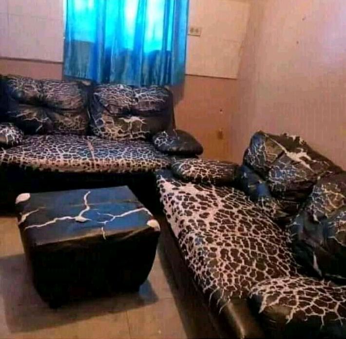 KabeloMohlah02's tweet photo. I am selling this animal print couches for R2000 https://t.co/l3kBvRtb0Q